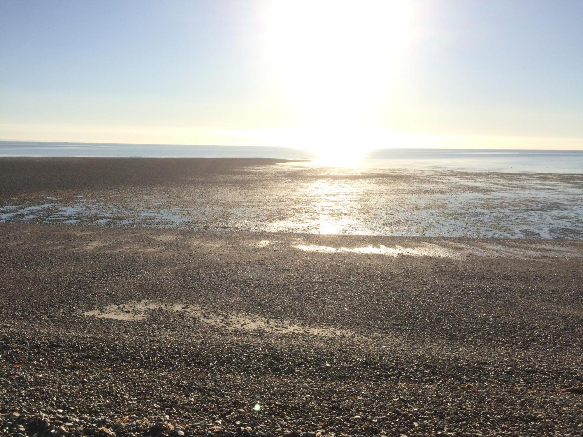 Stay At 'The Elms' In Tranquil Church Norton, Selsey - Ground Floor Bedroom, Own Private Bathroom, Quiet Beach, 2 Acre Garden By The Sea, On Edge Of Wildlife Nature Reserve Exterior photo